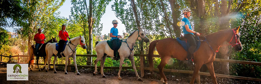 CAMPAMENTO DE EQUITACIÓN CAMPO ALEGRE 2024