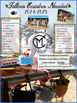 TALLER ECUESTRE NAVIDAD 24/25