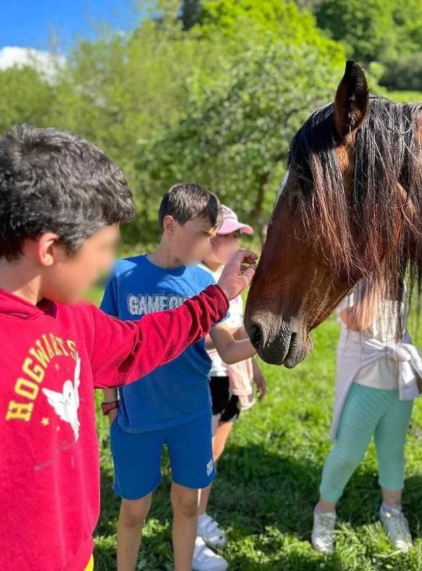 Campamento RuralKamp – Naturaleza y convivencia rural – Valles Pasiegos (Cantabria) v2